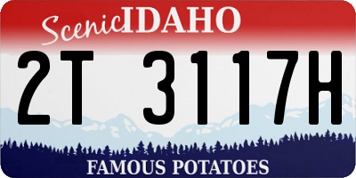 ID license plate 2T3117H