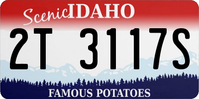 ID license plate 2T3117S
