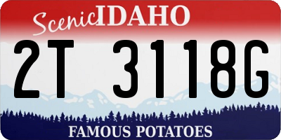 ID license plate 2T3118G