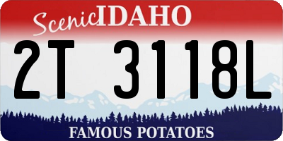 ID license plate 2T3118L