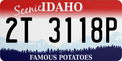 ID license plate 2T3118P