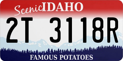 ID license plate 2T3118R