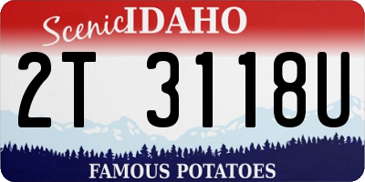 ID license plate 2T3118U