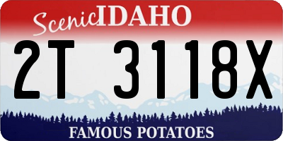 ID license plate 2T3118X