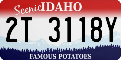 ID license plate 2T3118Y