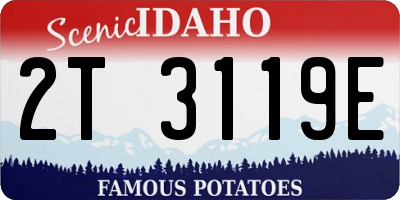 ID license plate 2T3119E