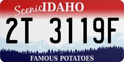 ID license plate 2T3119F