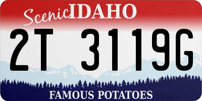 ID license plate 2T3119G