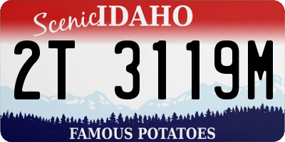 ID license plate 2T3119M