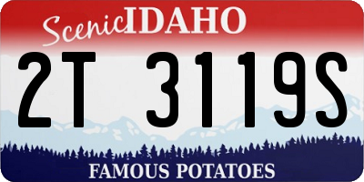 ID license plate 2T3119S