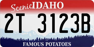 ID license plate 2T3123B