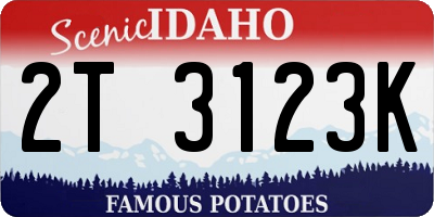 ID license plate 2T3123K