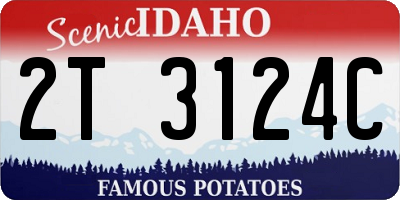 ID license plate 2T3124C