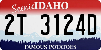 ID license plate 2T3124D
