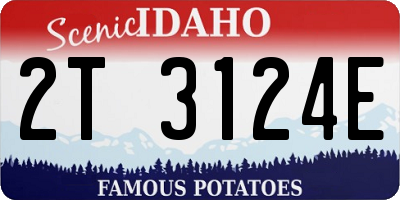 ID license plate 2T3124E