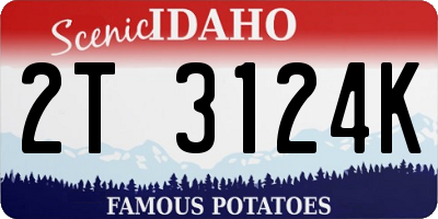 ID license plate 2T3124K