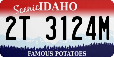 ID license plate 2T3124M