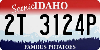 ID license plate 2T3124P