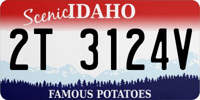 ID license plate 2T3124V