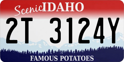 ID license plate 2T3124Y