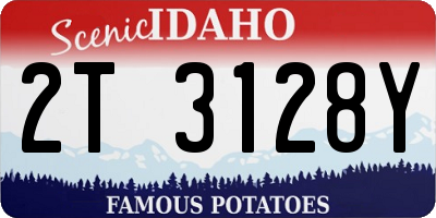 ID license plate 2T3128Y