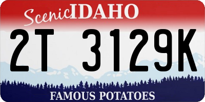 ID license plate 2T3129K