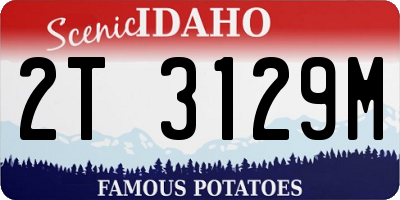 ID license plate 2T3129M