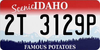 ID license plate 2T3129P