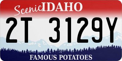 ID license plate 2T3129Y