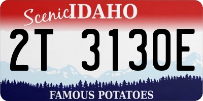 ID license plate 2T3130E
