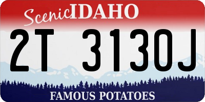 ID license plate 2T3130J