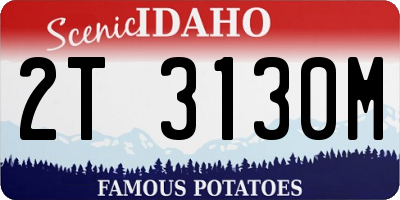 ID license plate 2T3130M