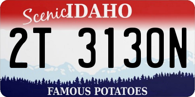 ID license plate 2T3130N