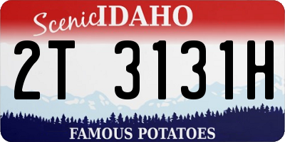 ID license plate 2T3131H