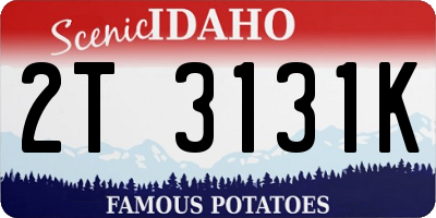 ID license plate 2T3131K