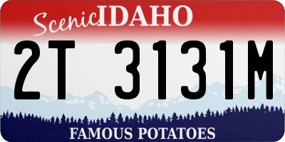 ID license plate 2T3131M