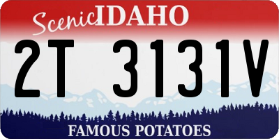 ID license plate 2T3131V