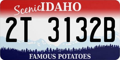 ID license plate 2T3132B