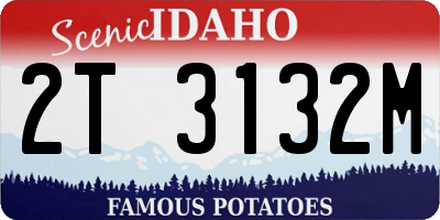 ID license plate 2T3132M