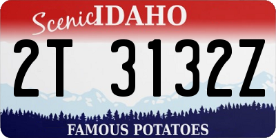 ID license plate 2T3132Z