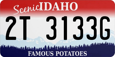 ID license plate 2T3133G
