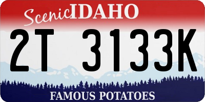 ID license plate 2T3133K