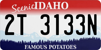 ID license plate 2T3133N