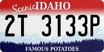 ID license plate 2T3133P