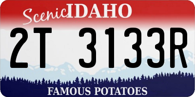 ID license plate 2T3133R