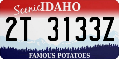 ID license plate 2T3133Z