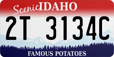 ID license plate 2T3134C
