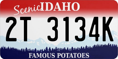 ID license plate 2T3134K