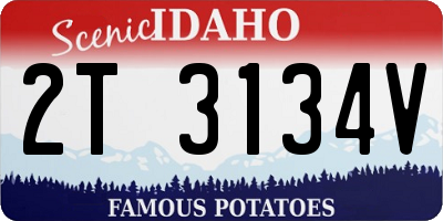 ID license plate 2T3134V