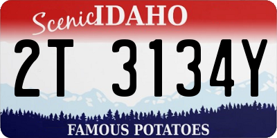 ID license plate 2T3134Y
